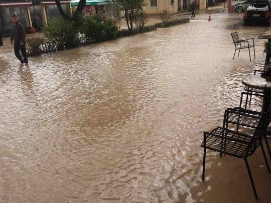 10710695_1550176068553834_3338714987672688687_n