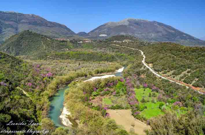 ΚΑΛΑΜΑΣ ΚΑΤΩ ΑΠΟ ΡΑΒΕΝΗ.....