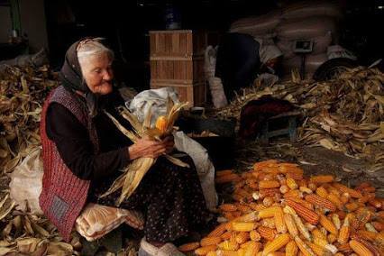 10404227_10206947198312875_8896474275091486641_n