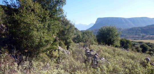 ΜΙΧΑΛΙΑΡΗ ΠΕΤΡΕΣ 2....
