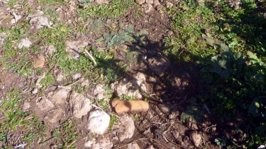 ΜΙΧΑΛΙΑΡΗ ΠΕΤΡΕΣ 3