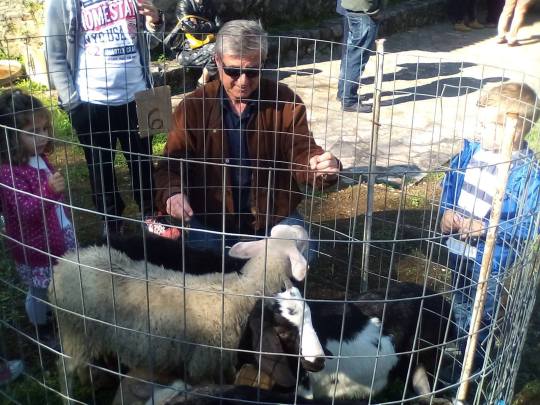 13161849_806489322819293_2385164365194079492_o