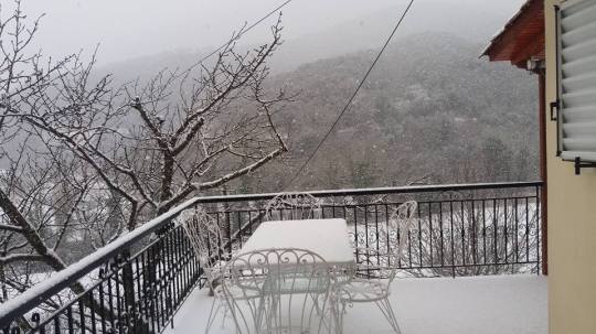 %ce%b4%ce%b1%cf%86%ce%bd%ce%b7-%ce%bf%ce%b4-%ce%b6%ce%b1%ce%ba%ce%ba%ce%b1