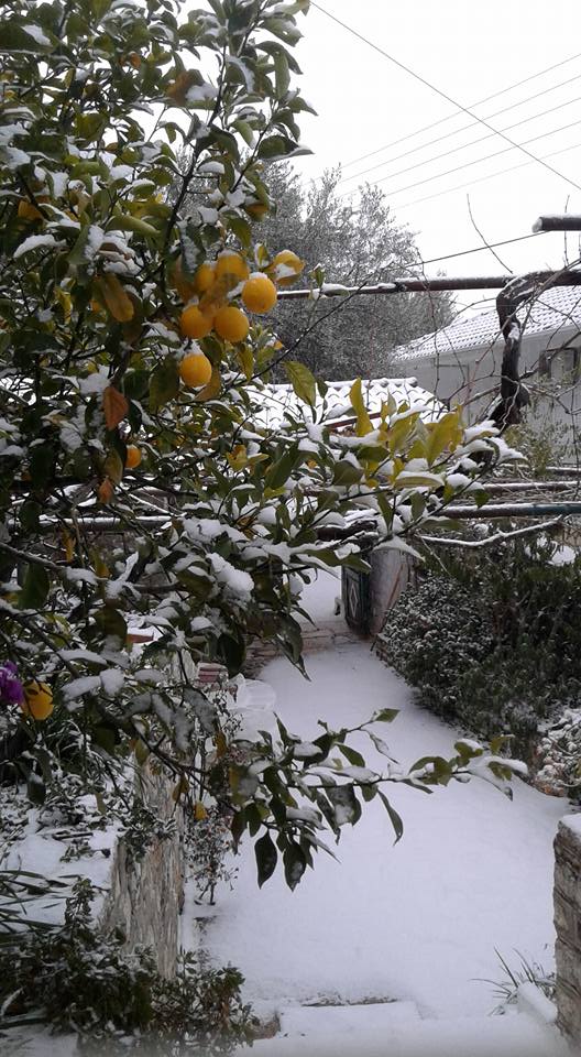 %cf%83%ce%b9%ce%b4%ce%b5%cf%81%ce%b7-%ce%b2%ce%b1%ce%be-%ce%b5%cf%85%ce%b1%ce%bd%ce%b8