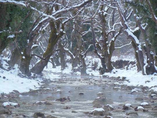 river-lagavitsa-1