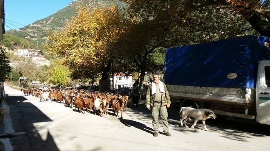 23755033_694754887387704_7304385027487670428_n