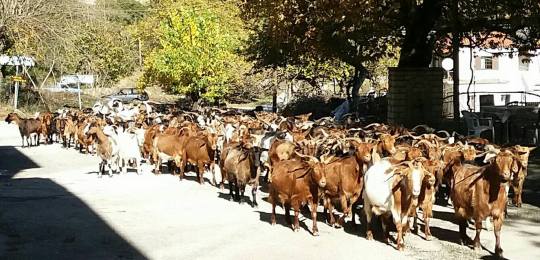 23783581_694754864054373_8205563205606893525_o