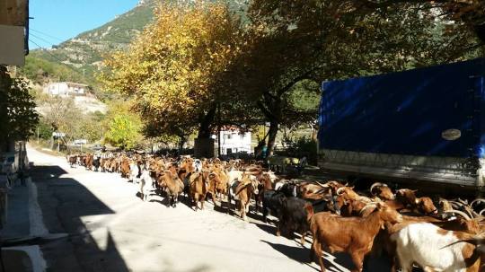 23844731_694754927387700_8307466504628165514_n