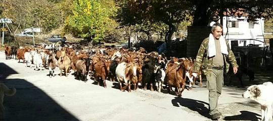 23847165_694754484054411_2484310779746519822_o