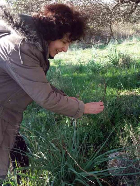 ΣΠΑΡΑΓΓΙΑ 19 ΔΕΚΕΜΒΡΗ 2017 α...