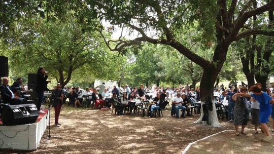 ΚΑΣΤΡΙ 1 ΔΑΦΝΗ ΡΑΚΗΣ 3...