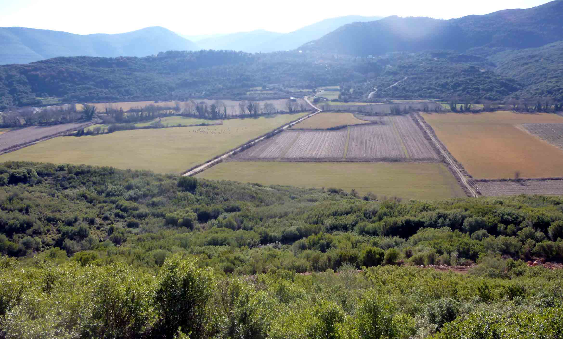 ΜΙΧΑΛΙΑΡΗ Κ ΚΑΜΠΟΣ 2..