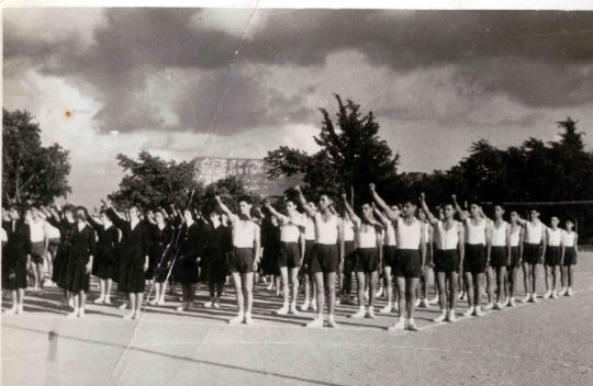 ΓΥΜΝ.ΕΠΙΔΕΙΞΕΙΣ 60-1