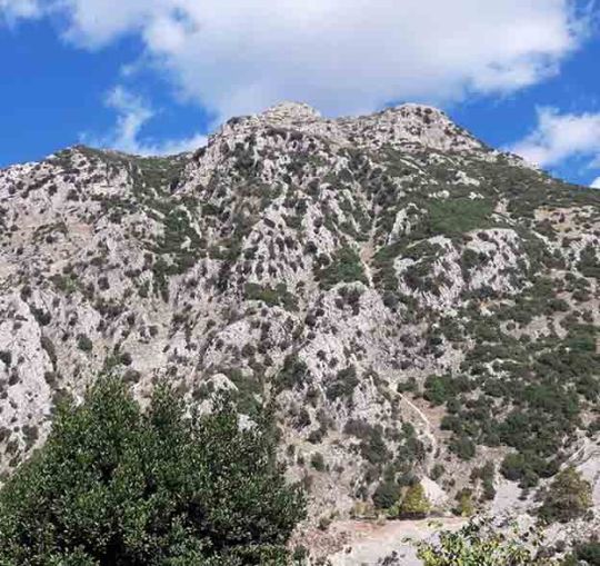 Τσαμαντά..ο Αροτός.