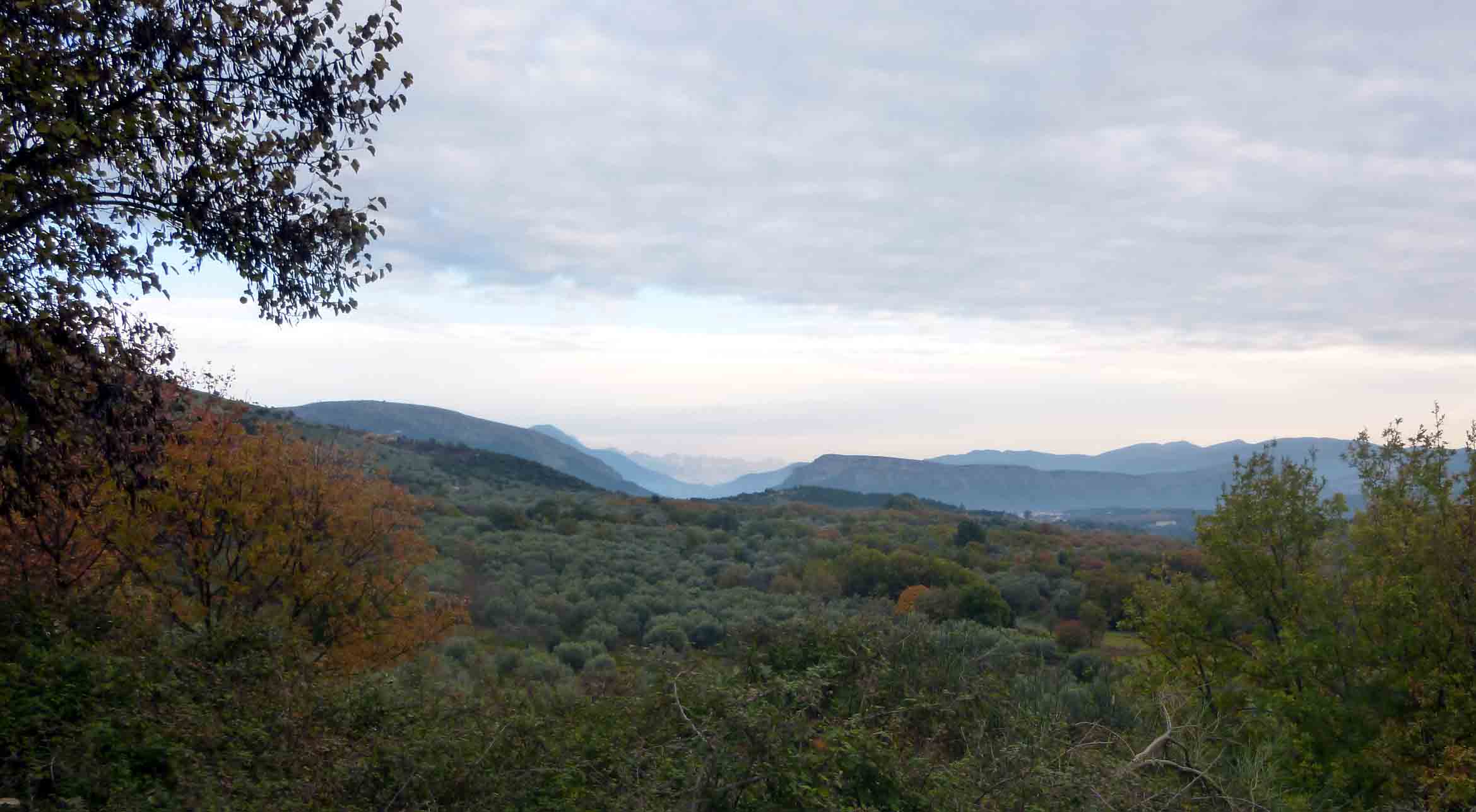 ΒΑΝΑΡΙ αποψη.....